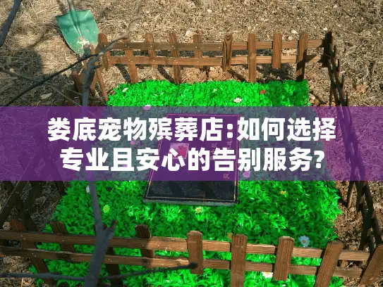 娄底宠物殡葬店:如何选择专业且安心的告别服务?