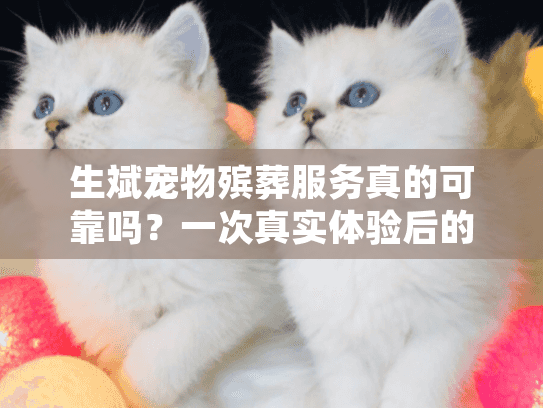 生斌宠物殡葬服务真的可靠吗?一次真实体验后的专业宠物善终选择指南 生斌宠物殡葬服务真的可靠吗?一次真实体验后的专业宠物善终选择指南