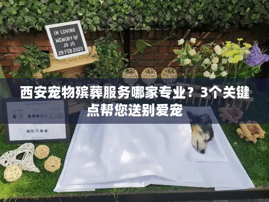 西安宠物殡葬服务哪家专业？3个关键点帮您送别爱宠