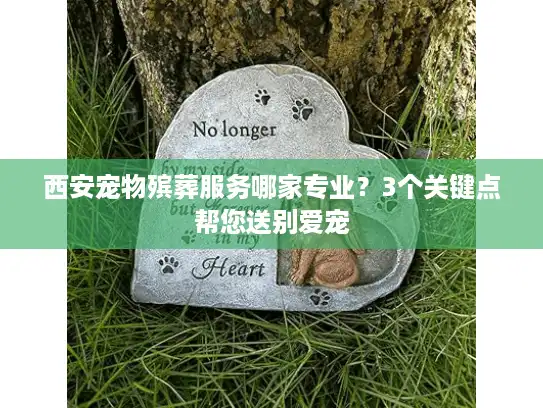 西安宠物殡葬服务哪家专业？3个关键点帮您送别爱宠
