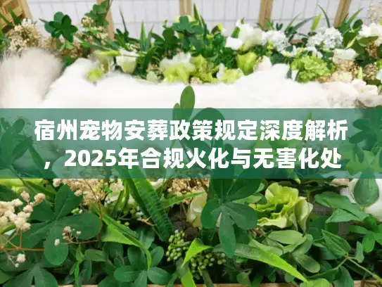 宿州宠物安葬政策规定深度解析,2025年合规火化与无害化处理全流程 宿州宠物安葬政策规定深度解析,2025年合规火化与无害化处理全流程