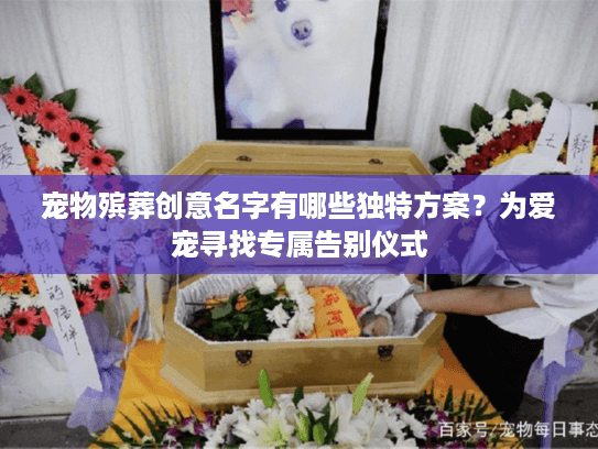宠物殡葬创意名字有哪些独特方案？为爱宠寻找专属告别仪式