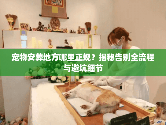 宠物安葬地方哪里正规？揭秘告别全流程与避坑细节