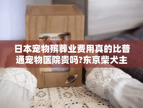 日本宠物殡葬业费用真的比普通宠物医院贵吗?东京柴犬主人亲历揭秘