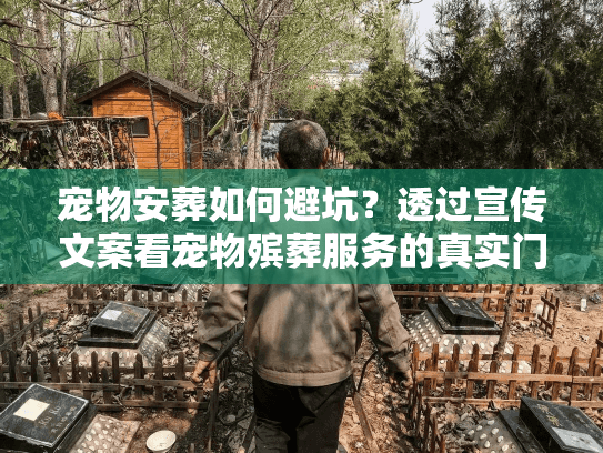 宠物安葬如何避坑？透过宣传文案看宠物殡葬服务的真实门道