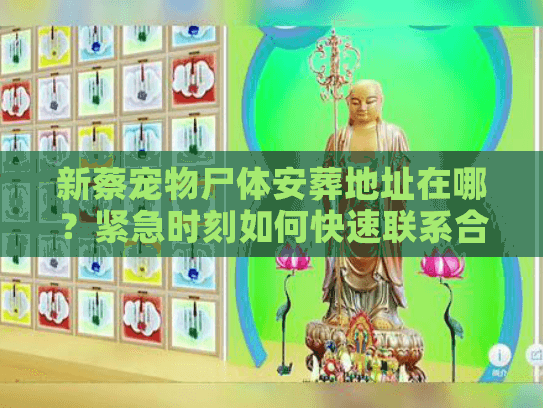 新蔡宠物尸体安葬地址在哪？紧急时刻如何快速联系合规团队？