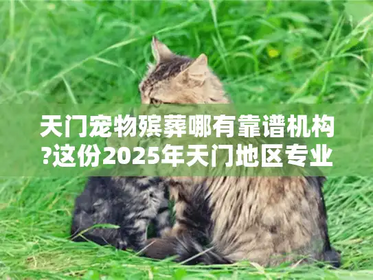 天门宠物殡葬哪有靠谱机构?这份2025年天门地区专业服务指南