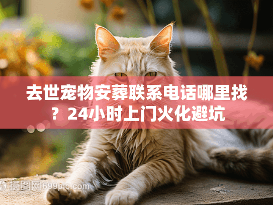 去世宠物安葬联系电话哪里找?24小时上门火化避坑 去世宠物安葬联系电话哪里找?24小时上门火化避坑