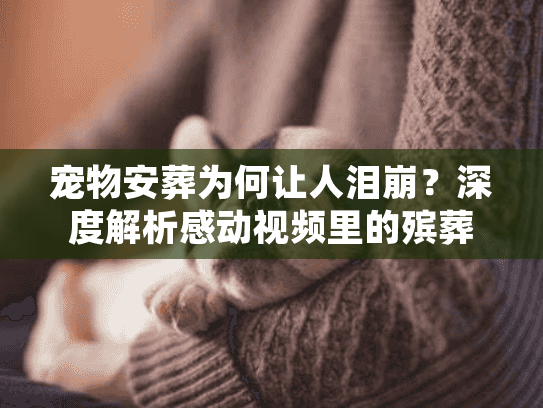 宠物安葬为何让人泪崩？深度解析感动视频里的殡葬细节与标准