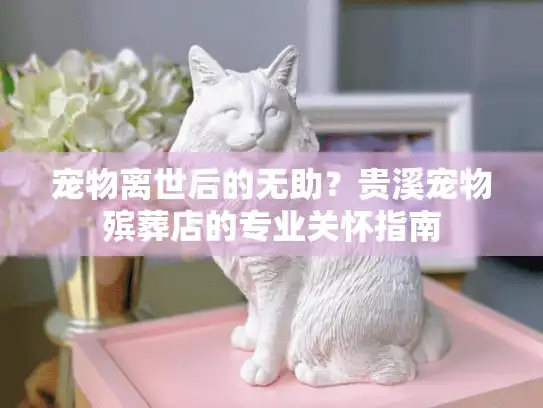 宠物离世后的无助？贵溪宠物殡葬店的专业关怀指南