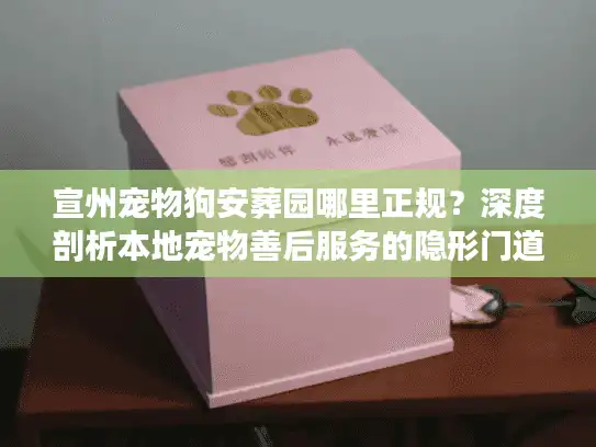 宣州宠物狗安葬园哪里正规？深度剖析本地宠物善后服务的隐形门道