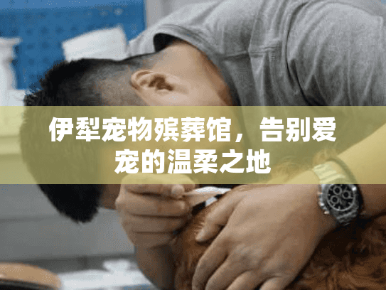 伊犁宠物殡葬馆,告别爱宠的温柔之地 伊犁宠物殡葬馆,告别爱宠的温柔之地