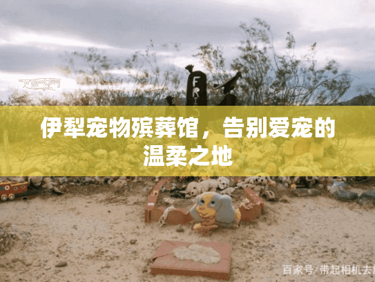 伊犁宠物殡葬馆,告别爱宠的温柔之地 伊犁宠物殡葬馆,告别爱宠的温柔之地