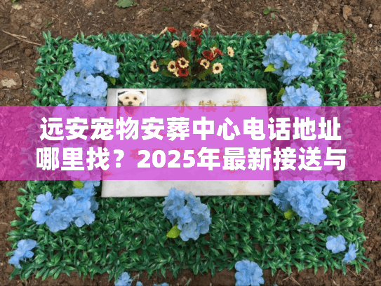 远安宠物安葬中心电话地址哪里找？2025年最新接送与告别全流程