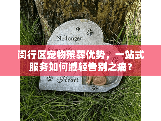 闵行区宠物殡葬优势，一站式服务如何减轻告别之痛？