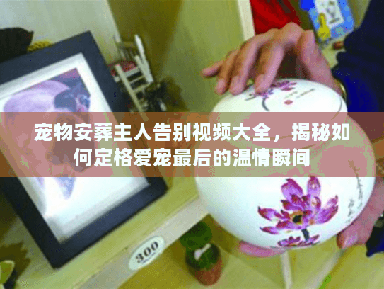 宠物安葬主人告别视频大全，揭秘如何定格爱宠最后的温情瞬间