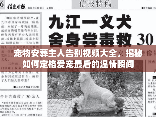 宠物安葬主人告别视频大全，揭秘如何定格爱宠最后的温情瞬间