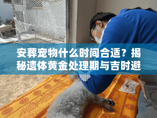 安葬宠物什么时间合适？揭秘遗体黄金处理期与吉时避坑
