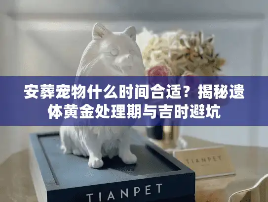 安葬宠物什么时间合适？揭秘遗体黄金处理期与吉时避坑