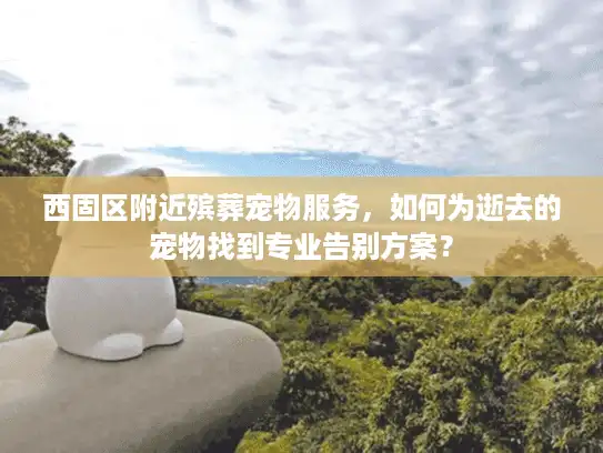 西固区附近殡葬宠物服务，如何为逝去的宠物找到专业告别方案？