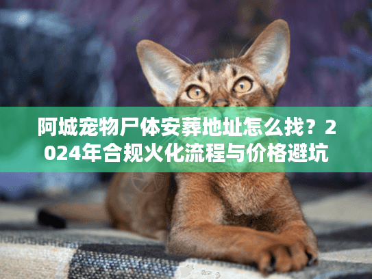 阿城宠物尸体安葬地址怎么找？2024年合规火化流程与价格避坑