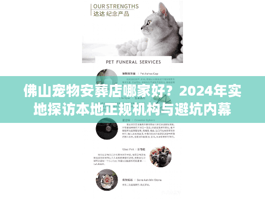 佛山宠物安葬店哪家好？2024年实地探访本地正规机构与避坑内幕