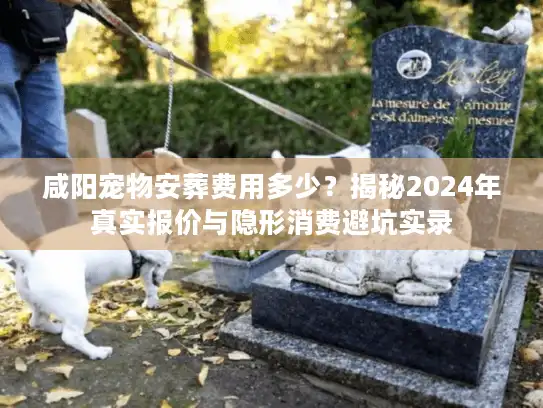 咸阳宠物安葬费用多少？揭秘2024年真实报价与隐形消费避坑实录