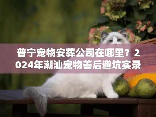 普宁宠物安葬公司在哪里？2024年潮汕宠物善后避坑实录与正规机构