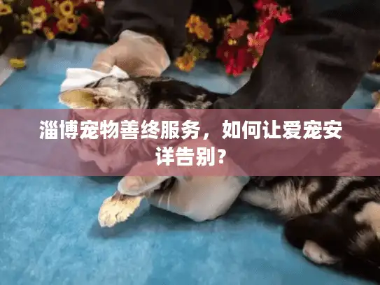 淄博宠物善终服务，如何让爱宠安详告别？