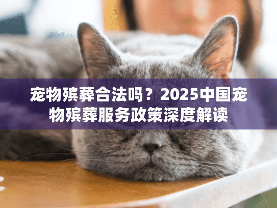 宠物殡葬合法吗？2025中国宠物殡葬服务政策深度解读