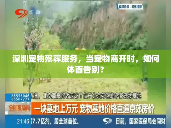 深圳宠物殡葬服务，当宠物离开时，如何体面告别？