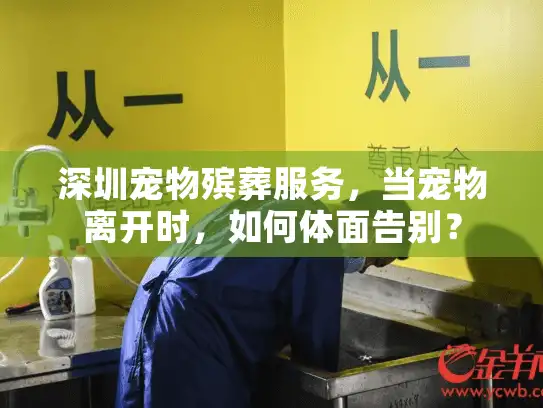 深圳宠物殡葬服务，当宠物离开时，如何体面告别？
