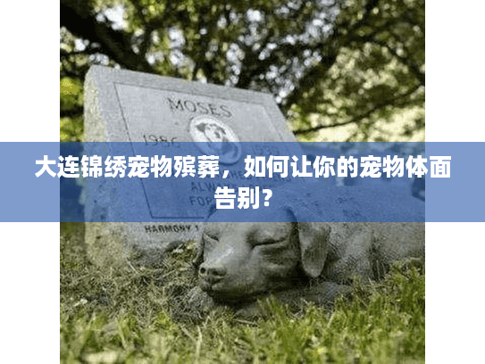 大连锦绣宠物殡葬，如何让你的宠物体面告别？