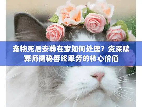 宠物死后安葬在家如何处理？资深殡葬师揭秘善终服务的核心价值