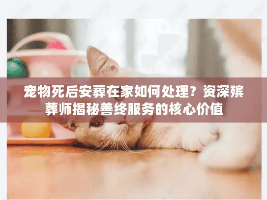 宠物死后安葬在家如何处理？资深殡葬师揭秘善终服务的核心价值