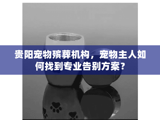 贵阳宠物殡葬机构，宠物主人如何找到专业告别方案？