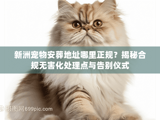 新洲宠物安葬地址哪里正规？揭秘合规无害化处理点与告别仪式