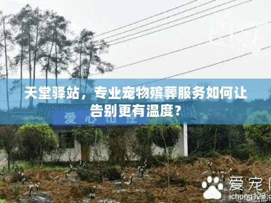 天堂驿站，专业宠物殡葬服务如何让告别更有温度？