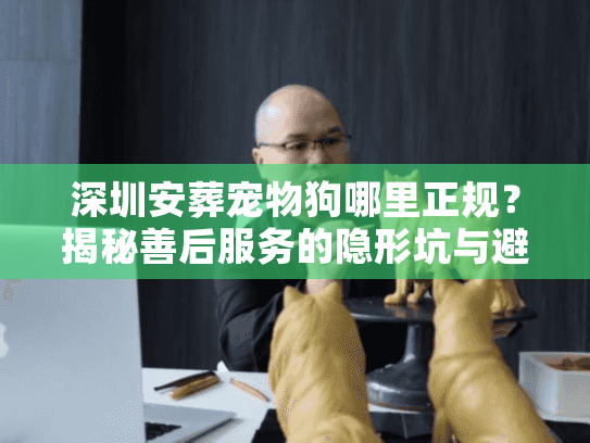 深圳安葬宠物狗哪里正规？揭秘善后服务的隐形坑与避雷针