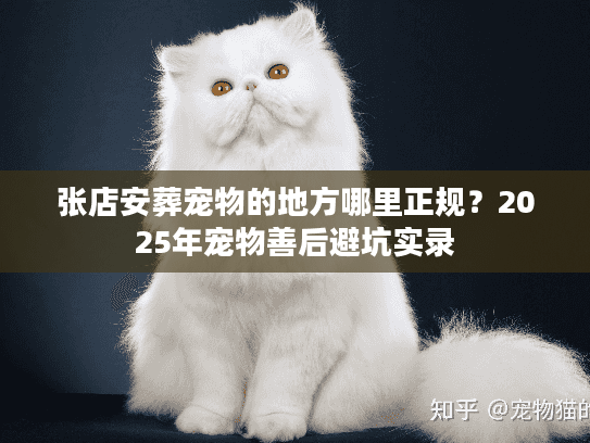 张店安葬宠物的地方哪里正规？2025年宠物善后避坑实录