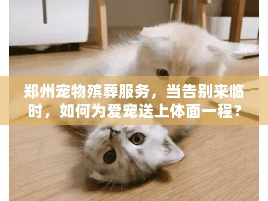 郑州宠物殡葬服务，当告别来临时，如何为爱宠送上体面一程？