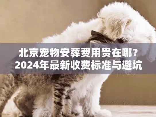 北京宠物安葬费用贵在哪?2024年最新收费标准与避坑实况 北京宠物安葬费用贵在哪?2024年最新收费标准与避坑实况