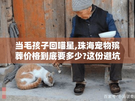 当毛孩子回喵星,珠海宠物殡葬价格到底要多少?这份避坑指南请收好