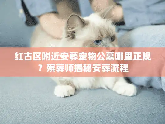 红古区附近安葬宠物公墓哪里正规？殡葬师揭秘安葬流程