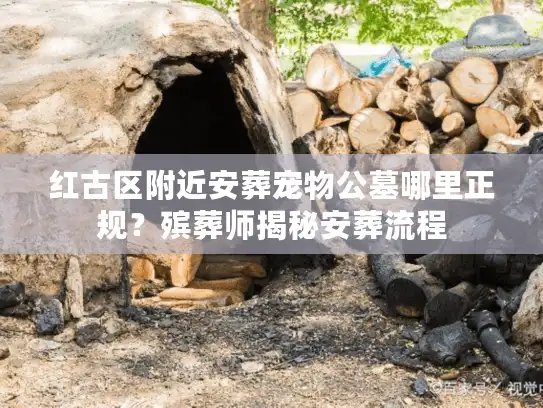 红古区附近安葬宠物公墓哪里正规？殡葬师揭秘安葬流程