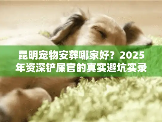 昆明宠物安葬哪家好?2025年资深铲屎官的真实避坑实录 昆明宠物安葬哪家好?2025年资深铲屎官的真实避坑实录