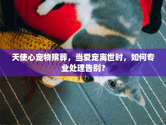 天使心宠物殡葬，当爱宠离世时，如何专业处理告别？