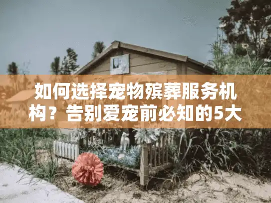 如何选择宠物殡葬服务机构？告别爱宠前必知的5大考量