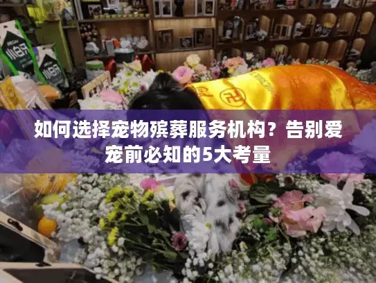 如何选择宠物殡葬服务机构？告别爱宠前必知的5大考量