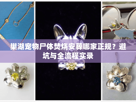 巢湖宠物尸体焚烧安葬哪家正规？避坑与全流程实录